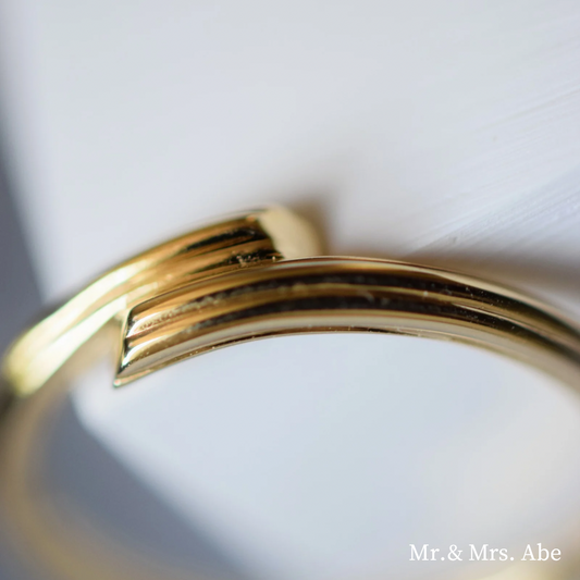 Chord of Revenge リング